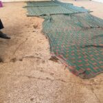exisitng mats and floor Daru